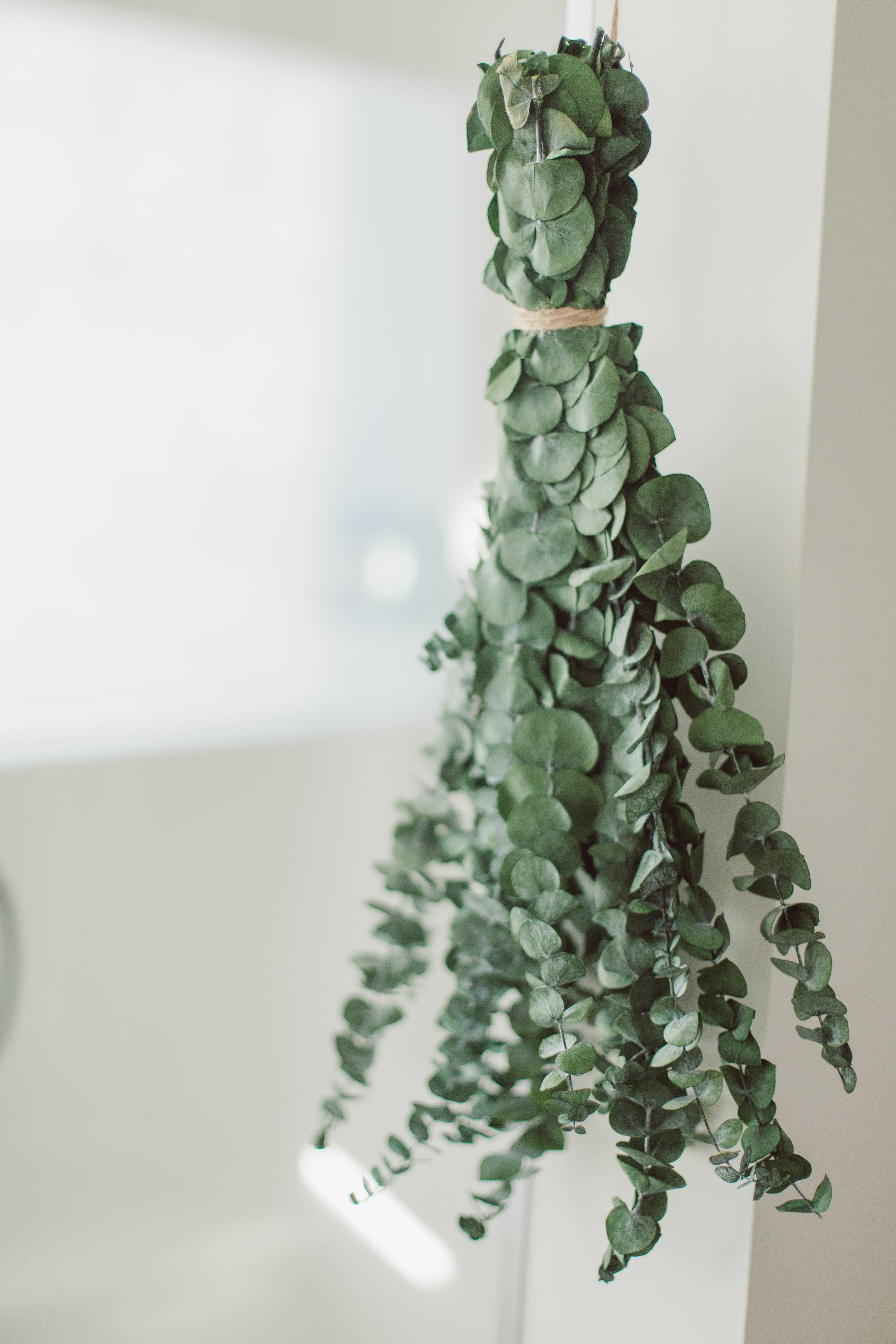 Eucalyptus Shower Bundle