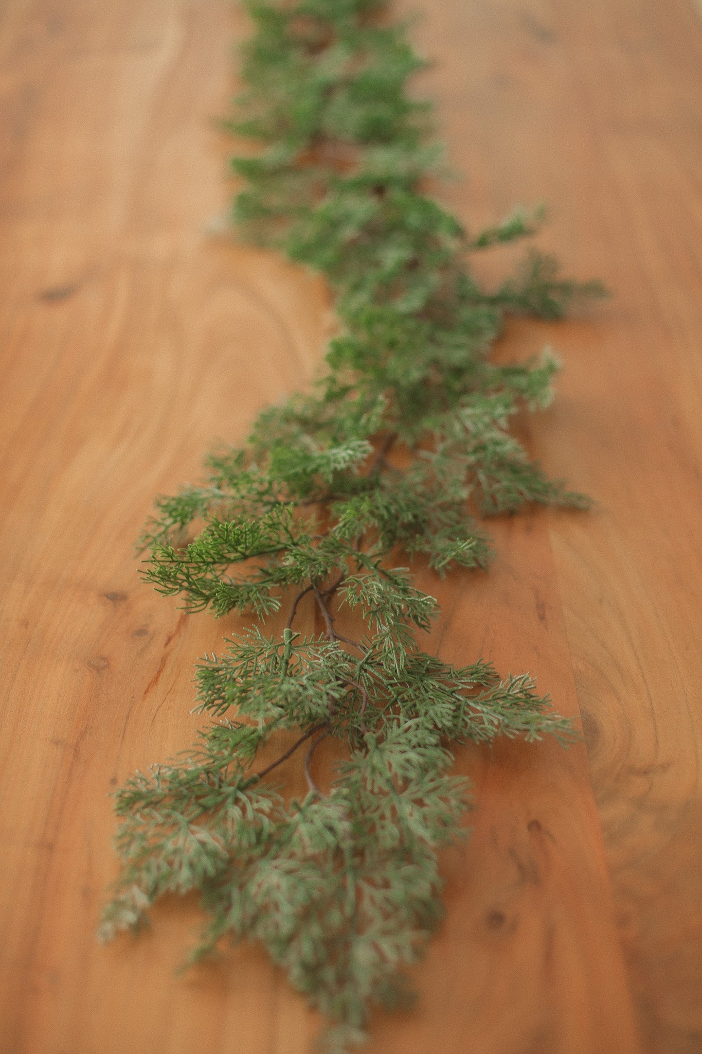 Cypress Pine Garland