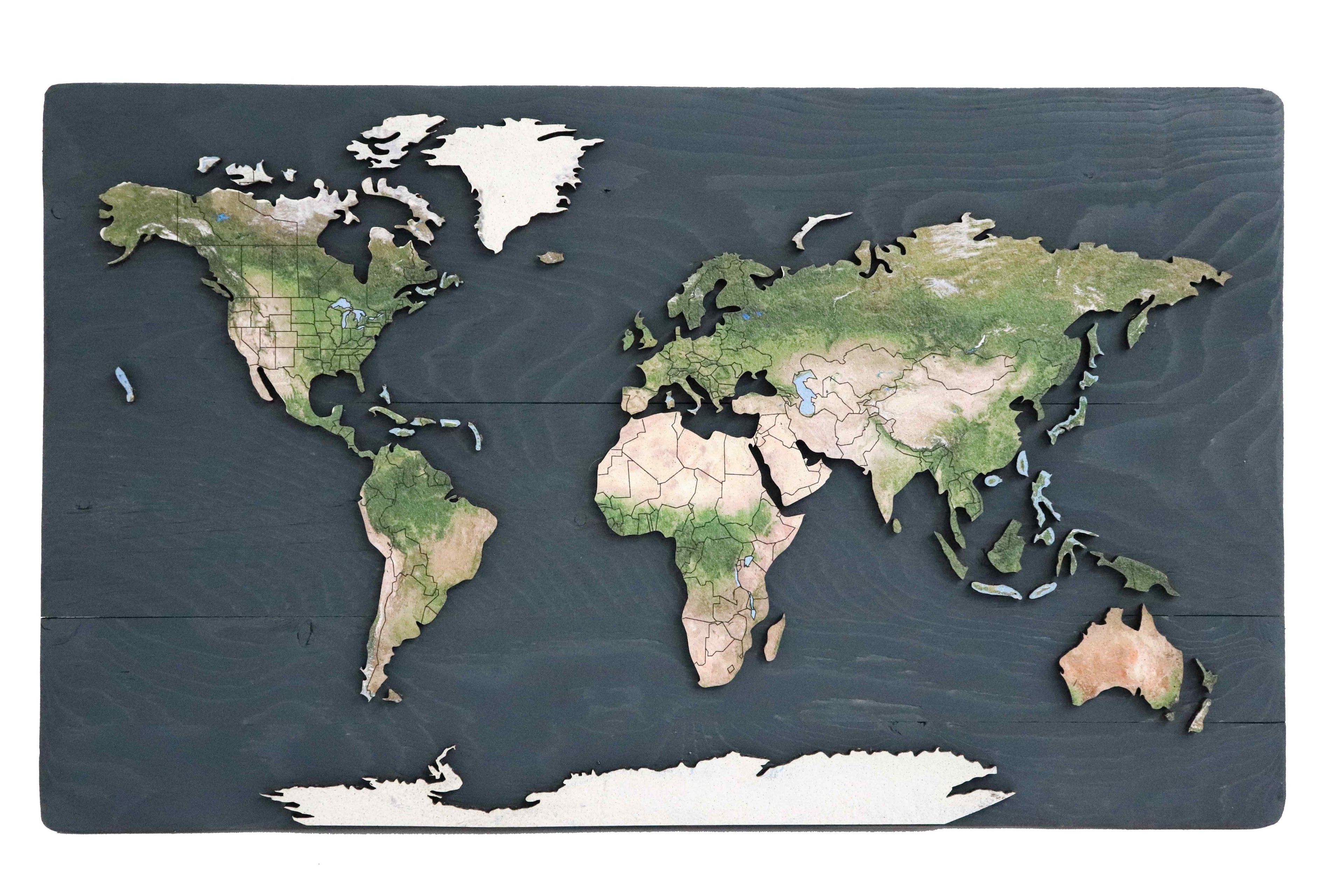 Geo Optic Push Pin Map | 24 x 14