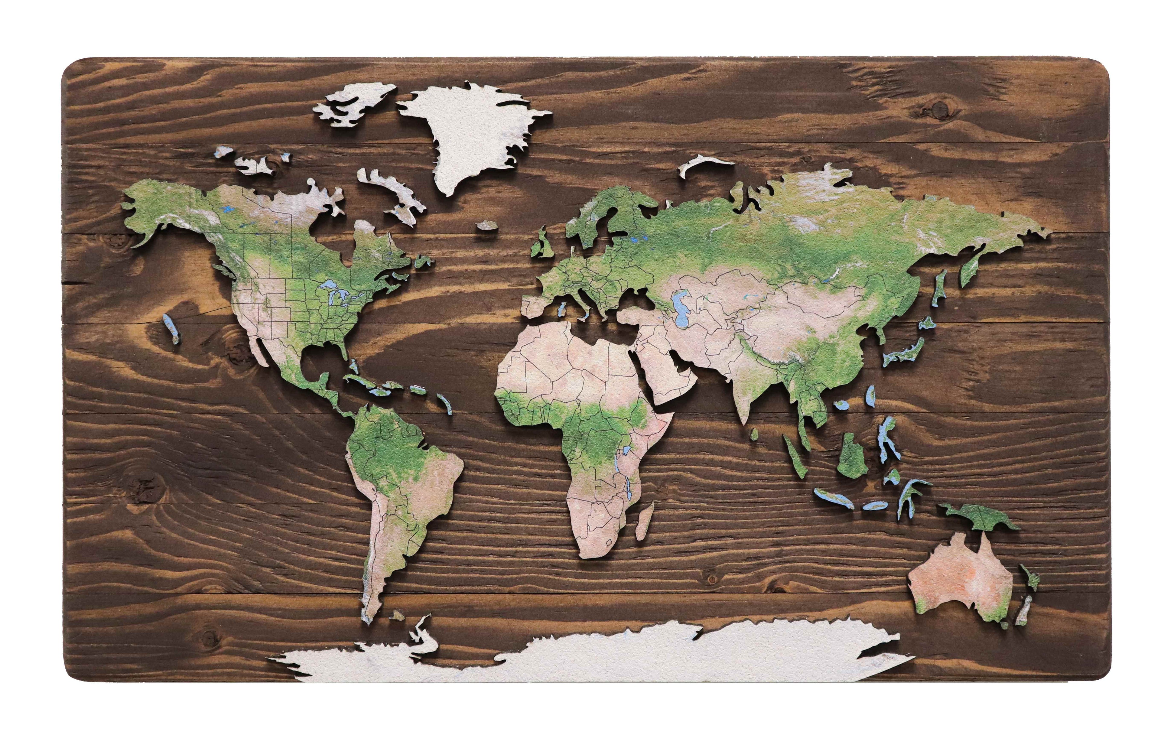 Geo Optic Push Pin Map | 24 x 14