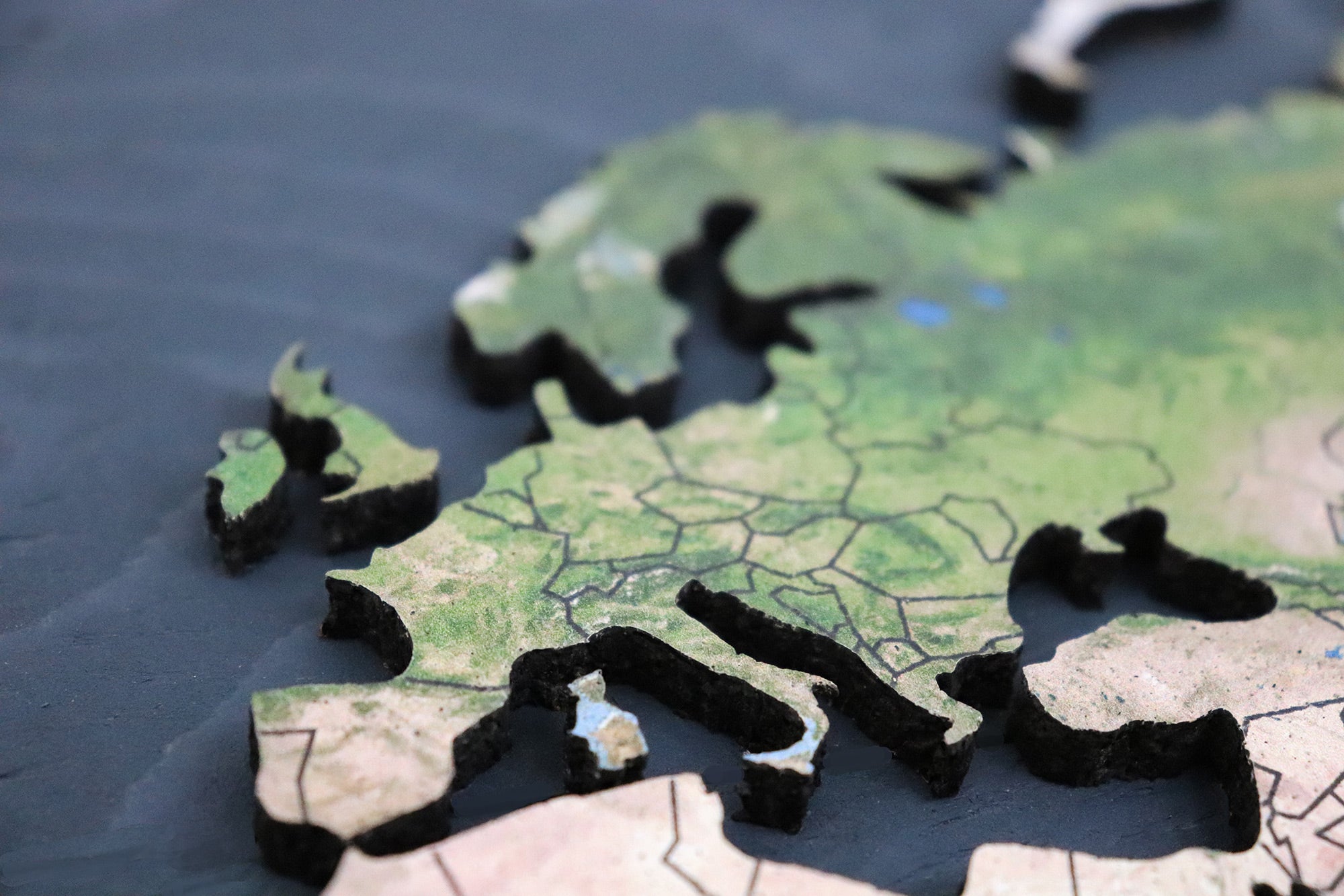 Geo Optic Push Pin Map | 24 x 14