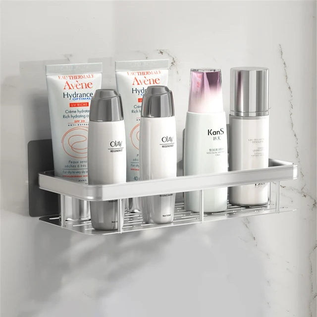 Stainless Steel Shower Shelf