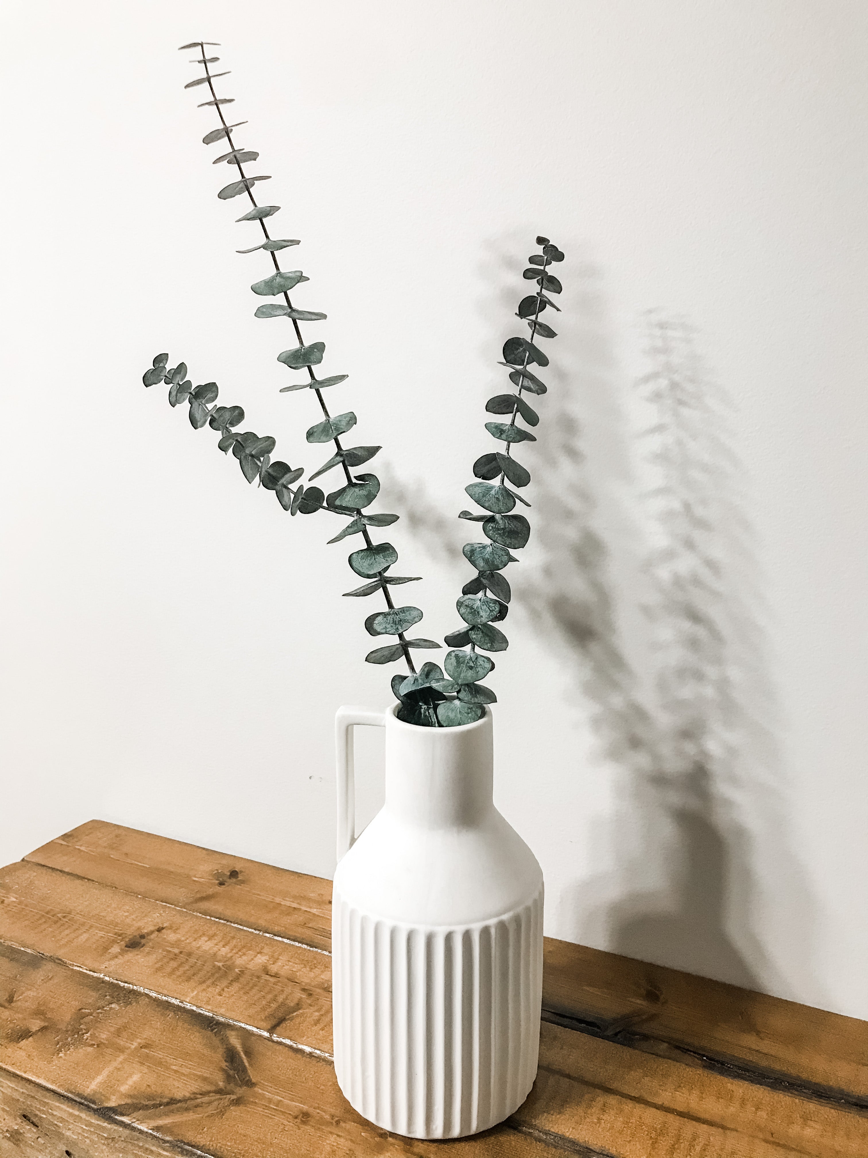 Preserved Stems - Medium