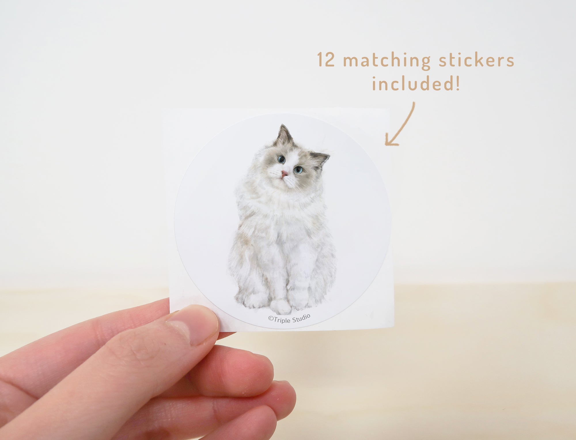 2026 Desk Calendar: Cat Watercolor Art