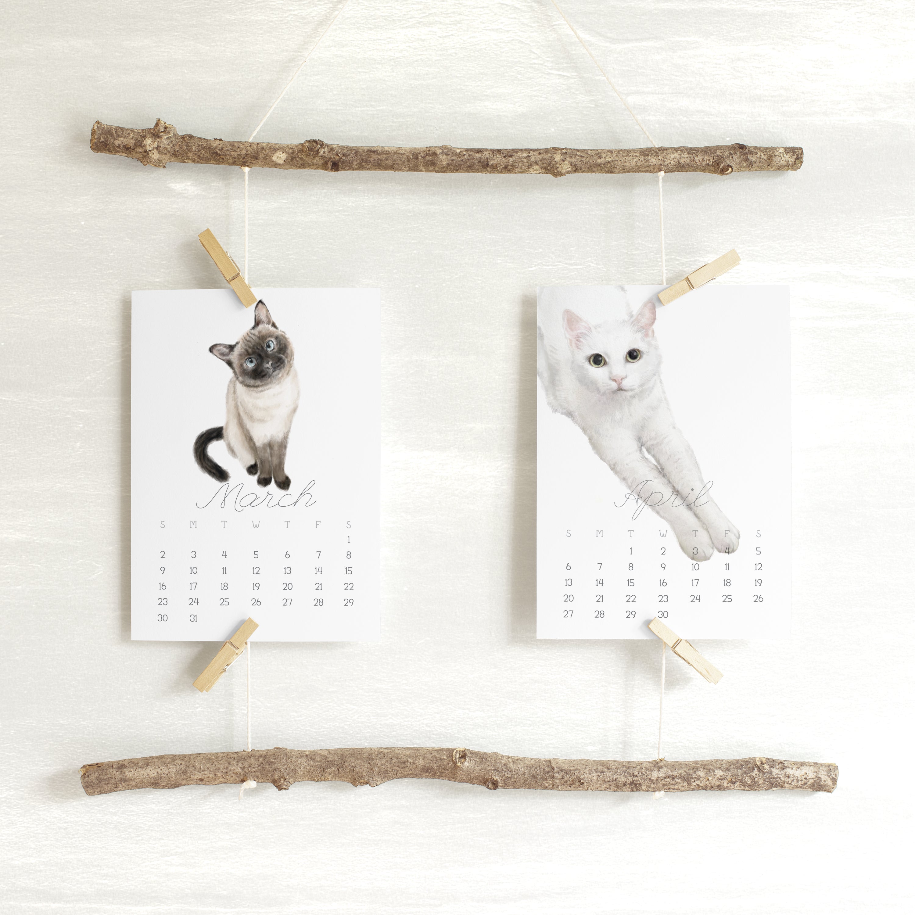 2026 Desk Calendar: Cat Watercolor Art