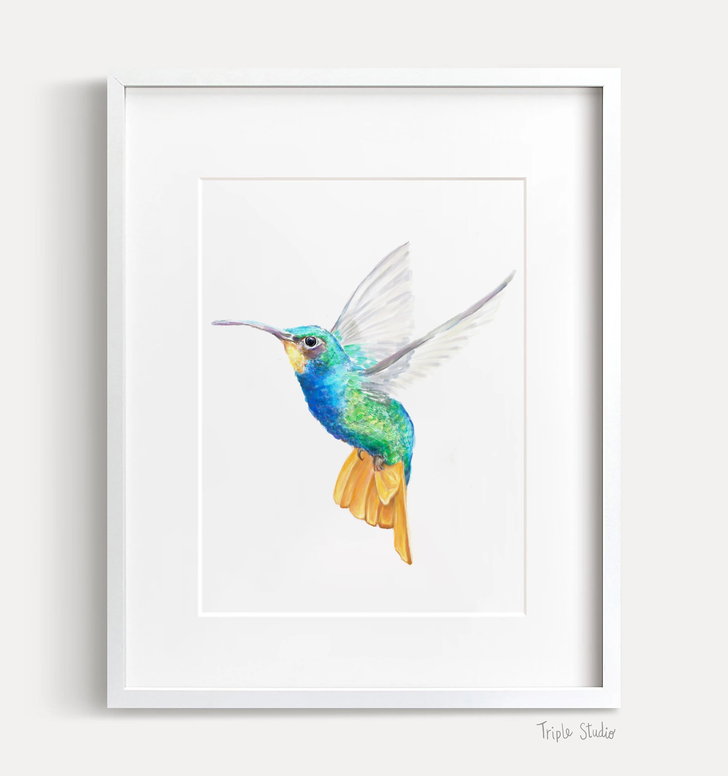 Hummingbird Art Print