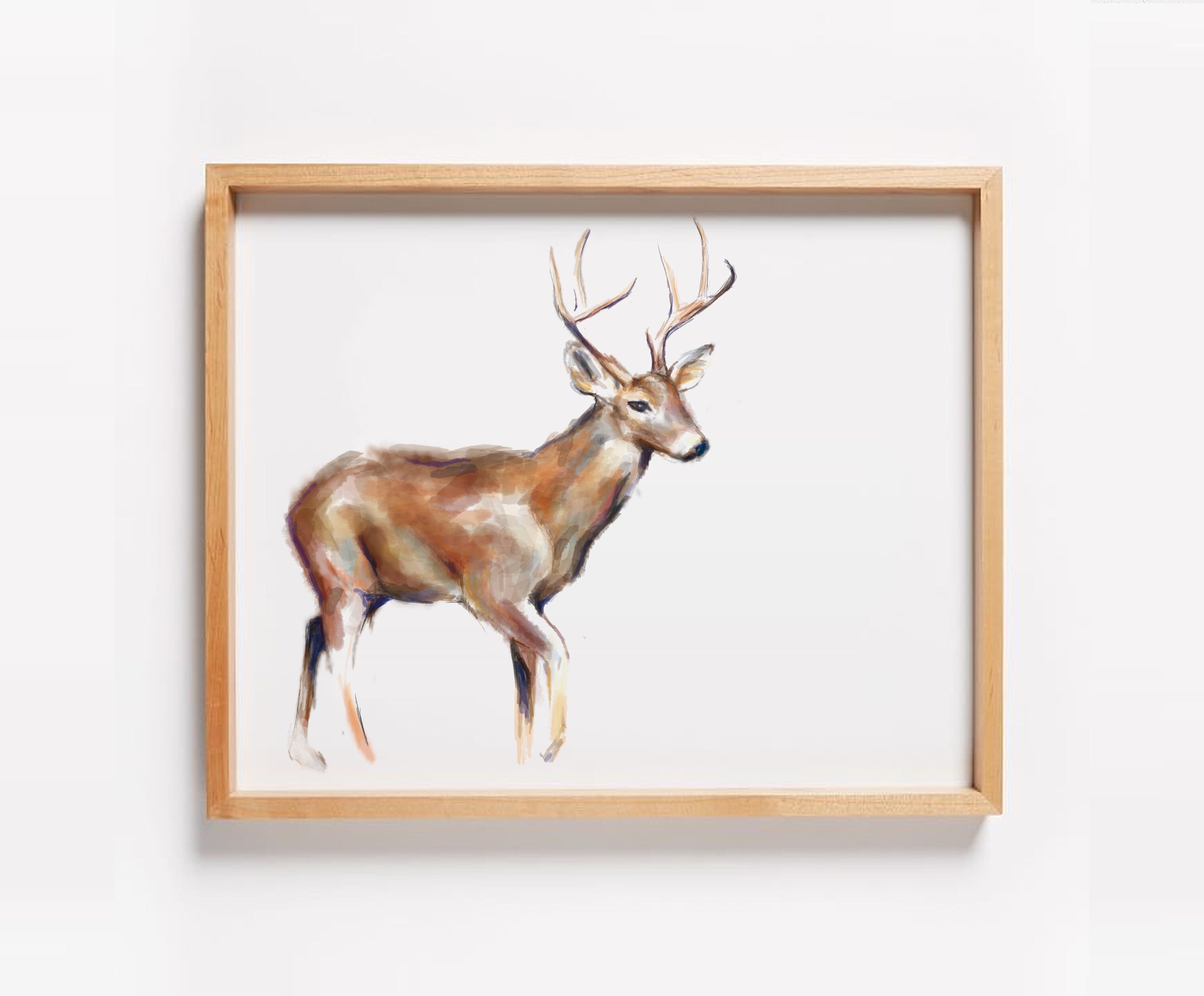 Deer Art Print