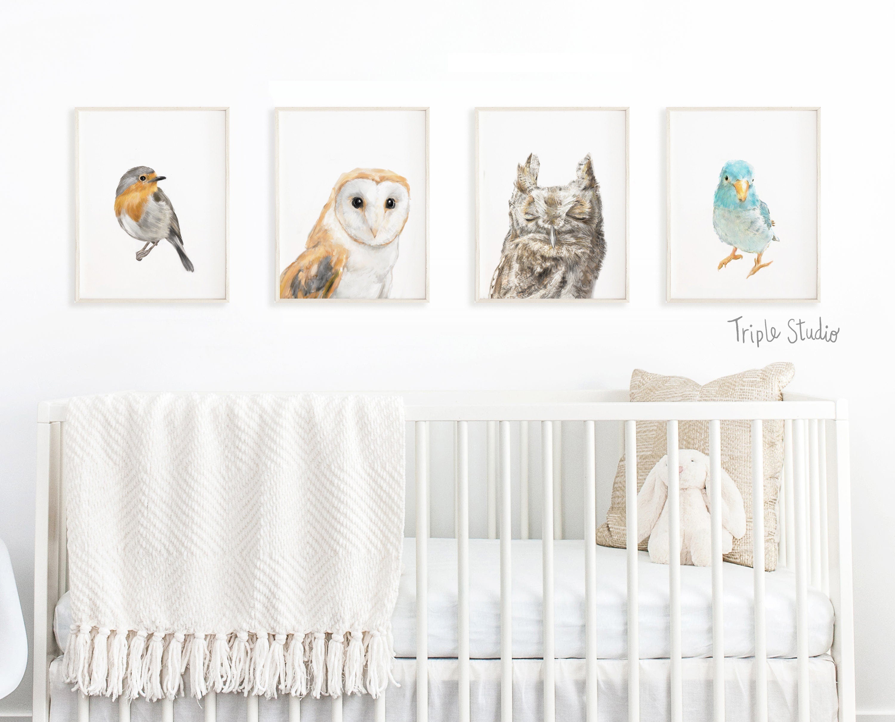 Burrowing Owl Art Print