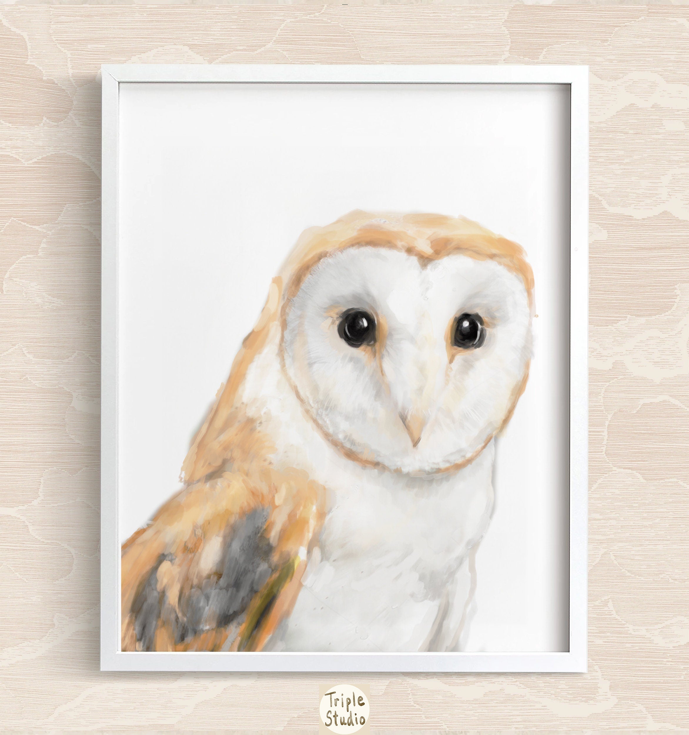 Barn Owl Art Print