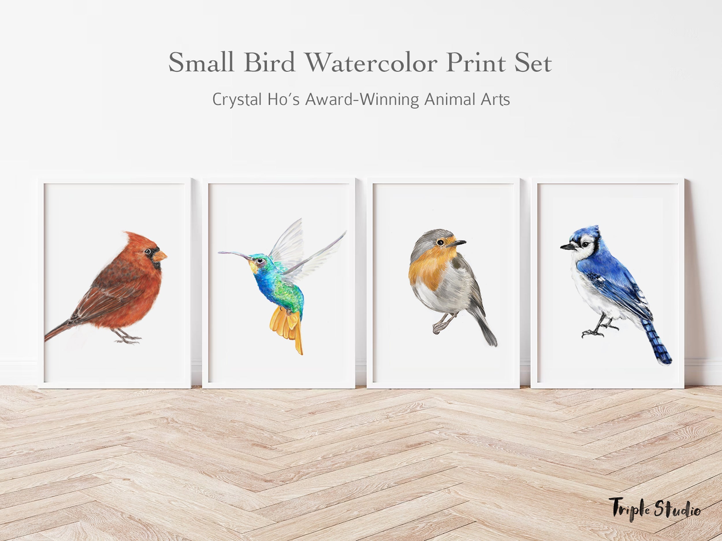 Hummingbird Art Print