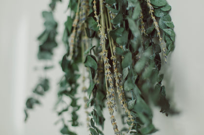 Eucalyptus Shower Bundle