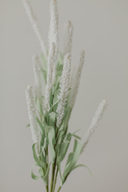 Amaranth Flowers