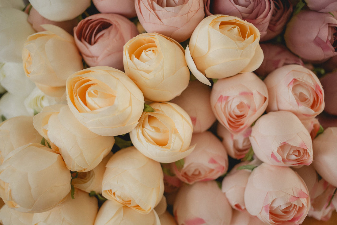 Perfect Peony Bundle