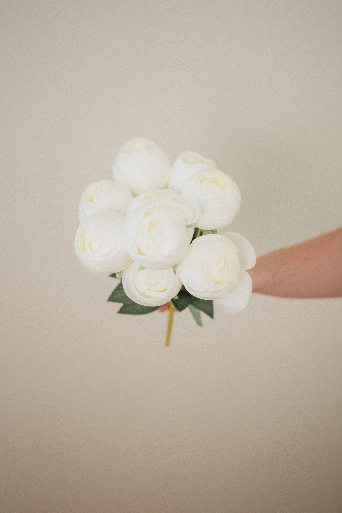 Perfect Peony Bundle