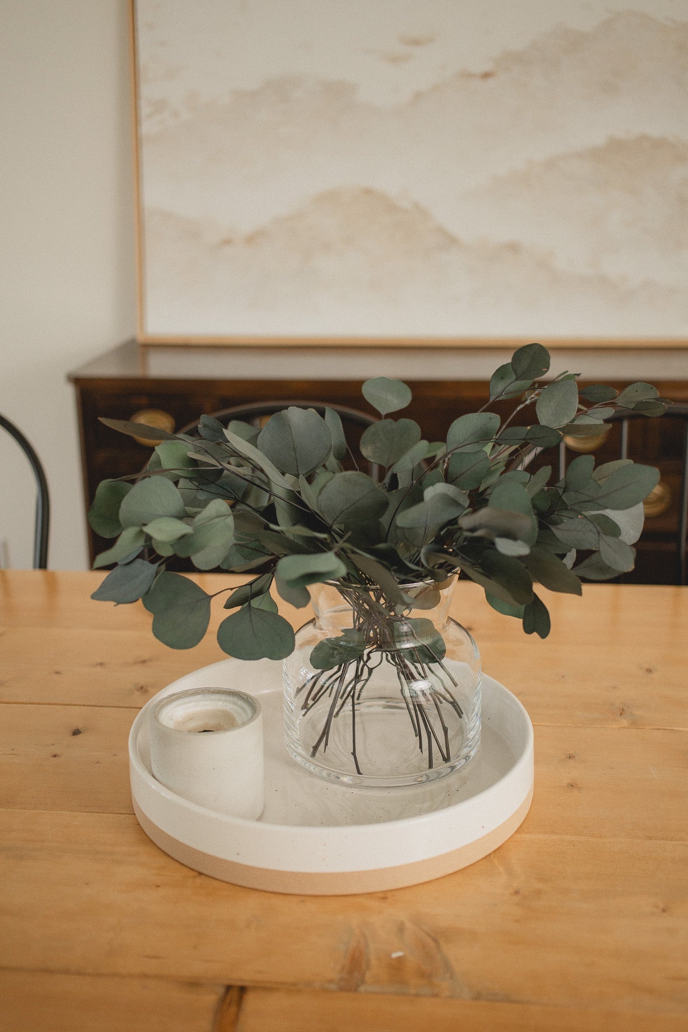 Italian Silver Dollar Eucalyptus