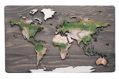 Geo Optic Push Pin Map | 24 x 14