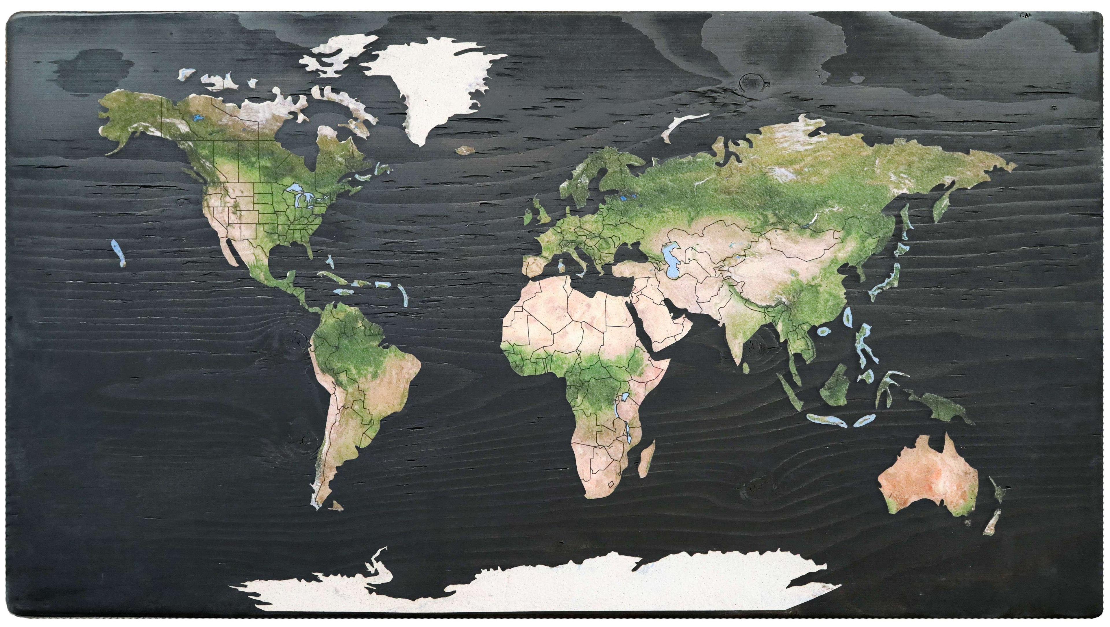 Geo Optic Push Pin Map | 24 x 14