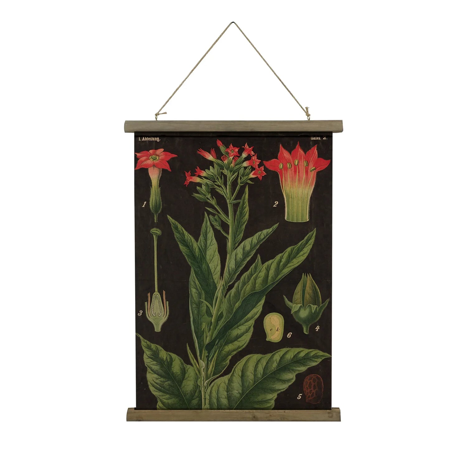 Botanical Flower Wall Art