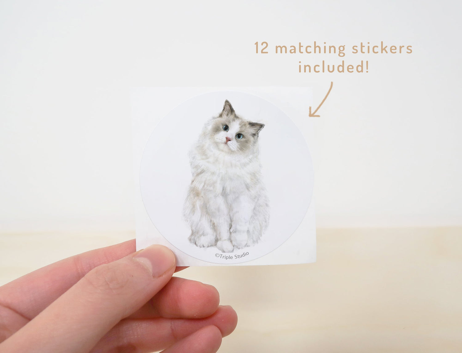 2026 Desk Calendar: Cat Watercolor Art