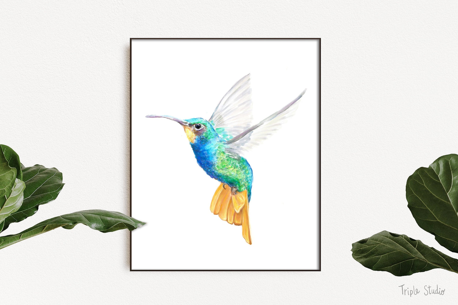 Hummingbird Art Print