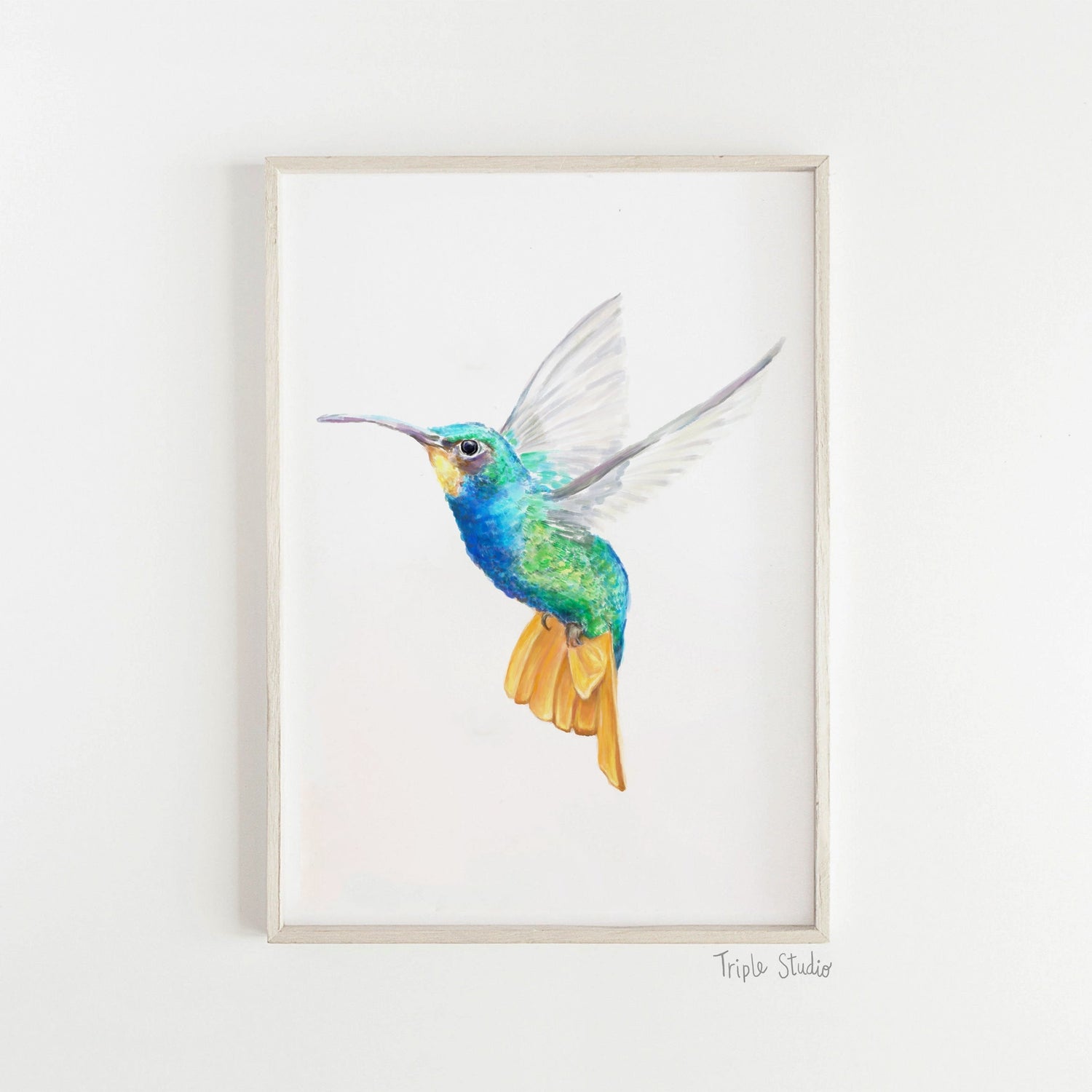 Hummingbird Art Print