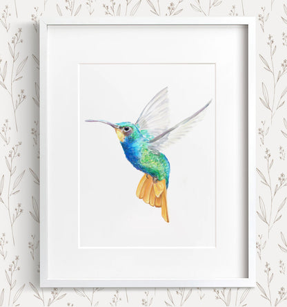 Hummingbird Art Print