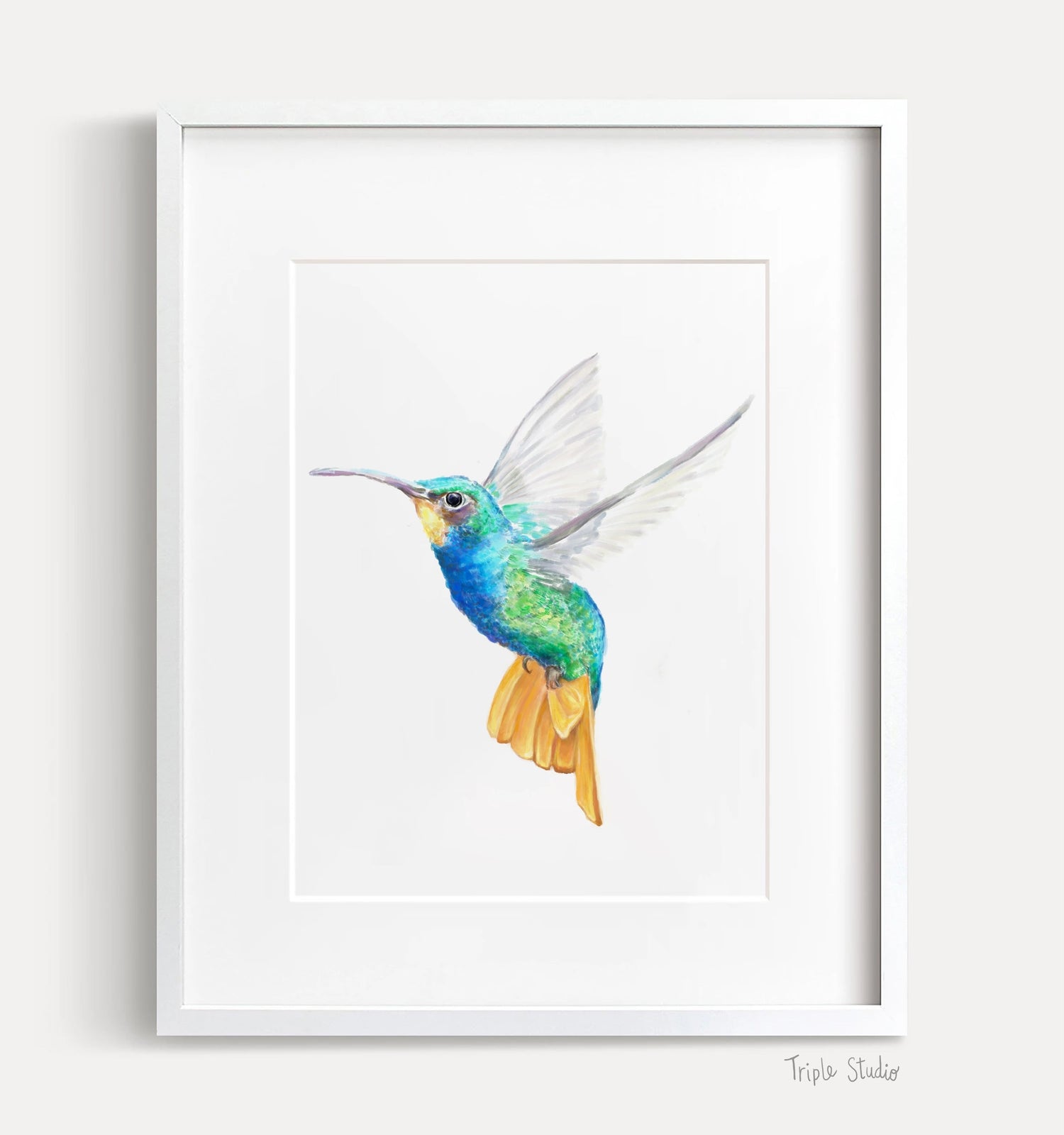 Hummingbird Art Print