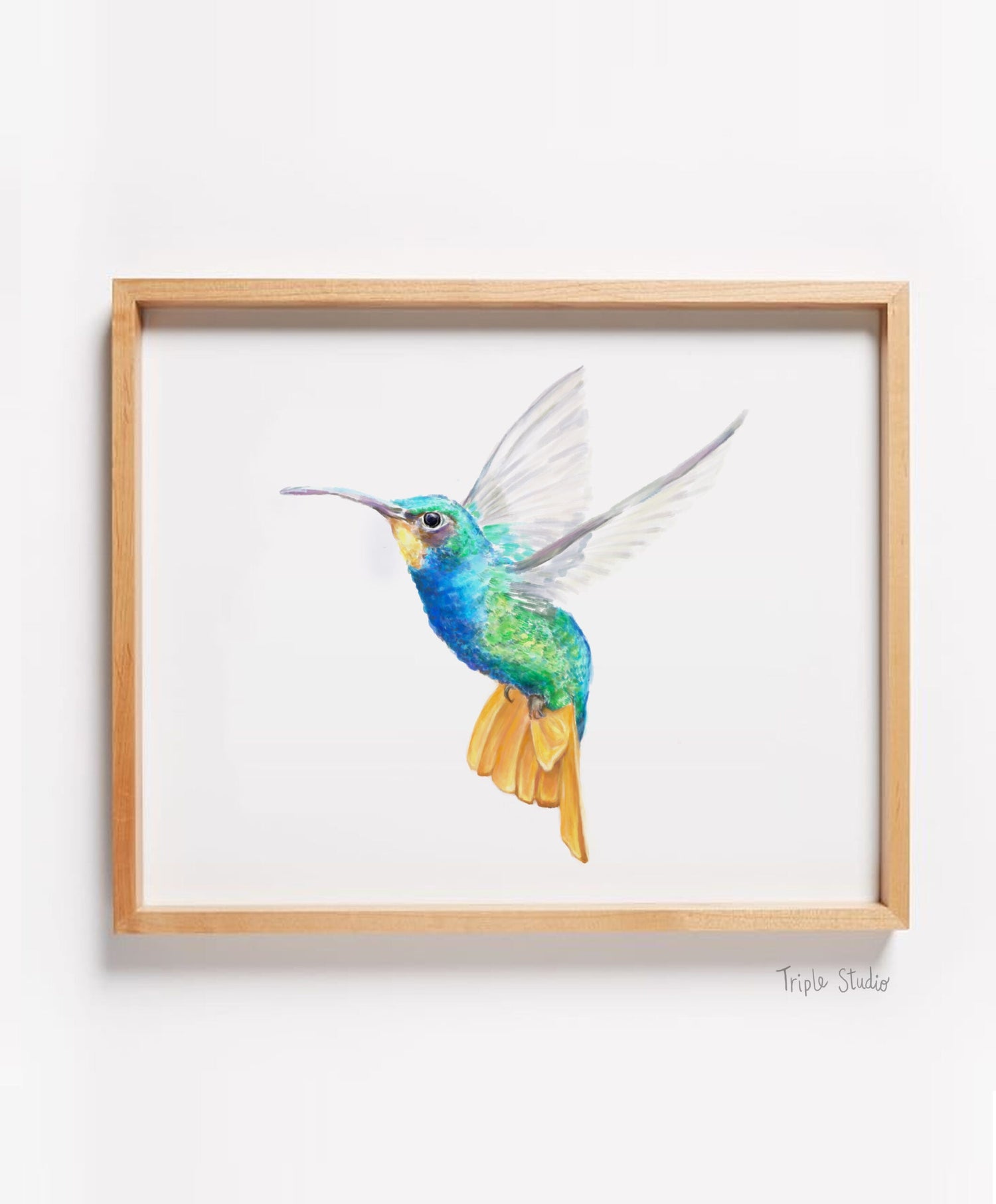 Hummingbird Art Print