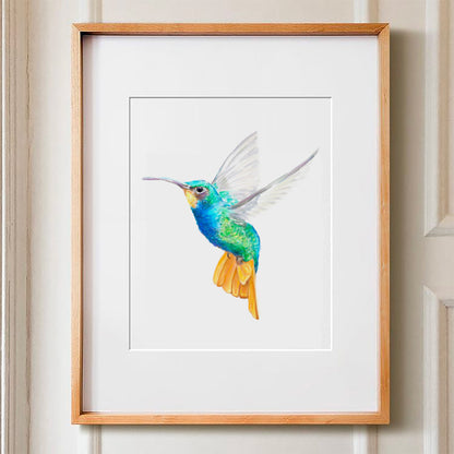 Hummingbird Art Print