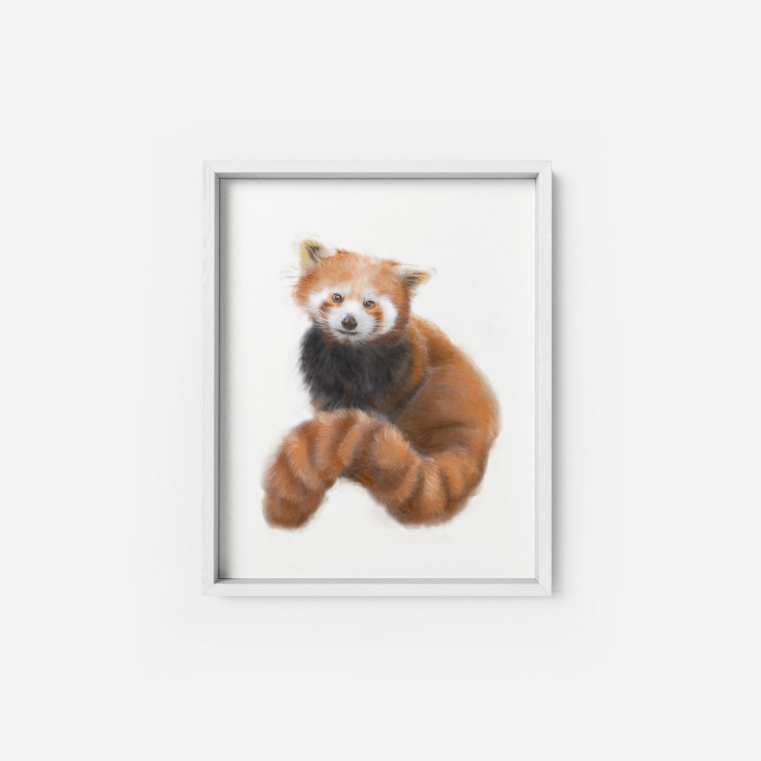 Red Panda Art Print