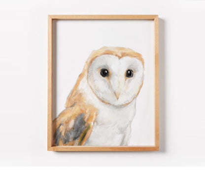 Barn Owl Art Print