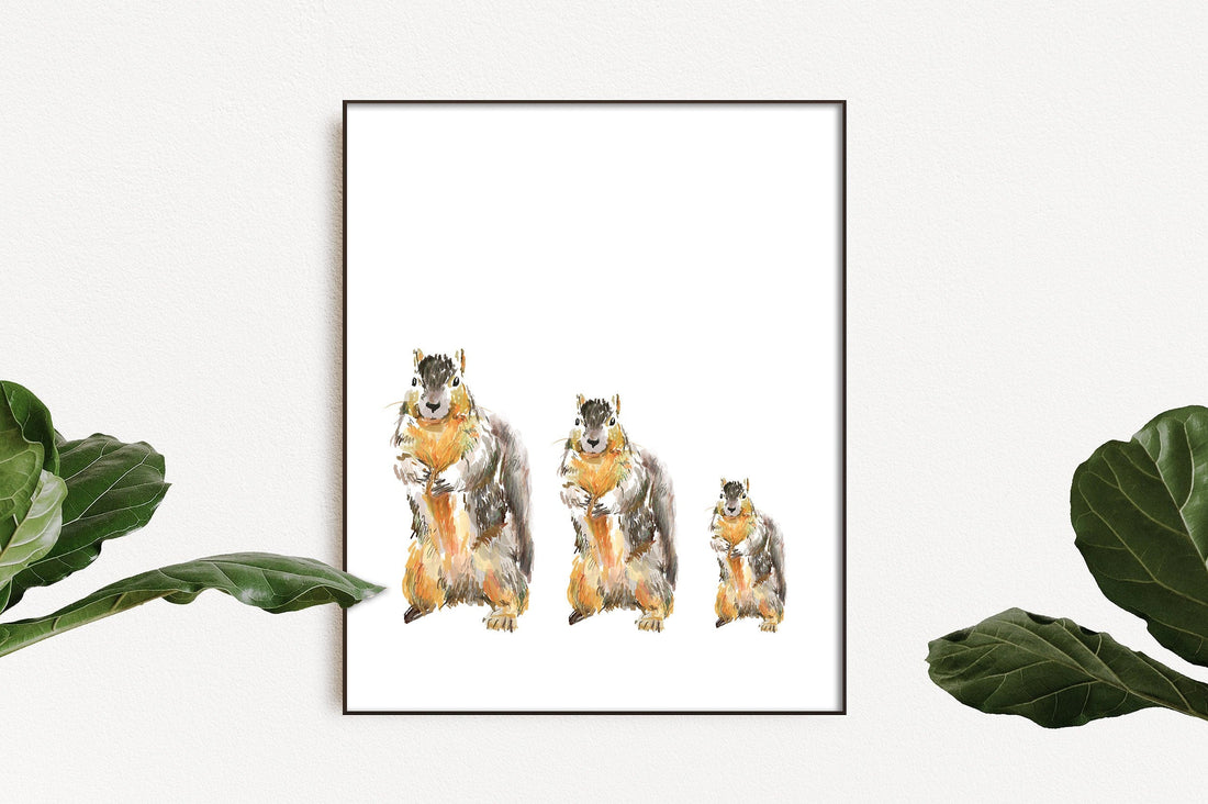 Squirrel Art Print