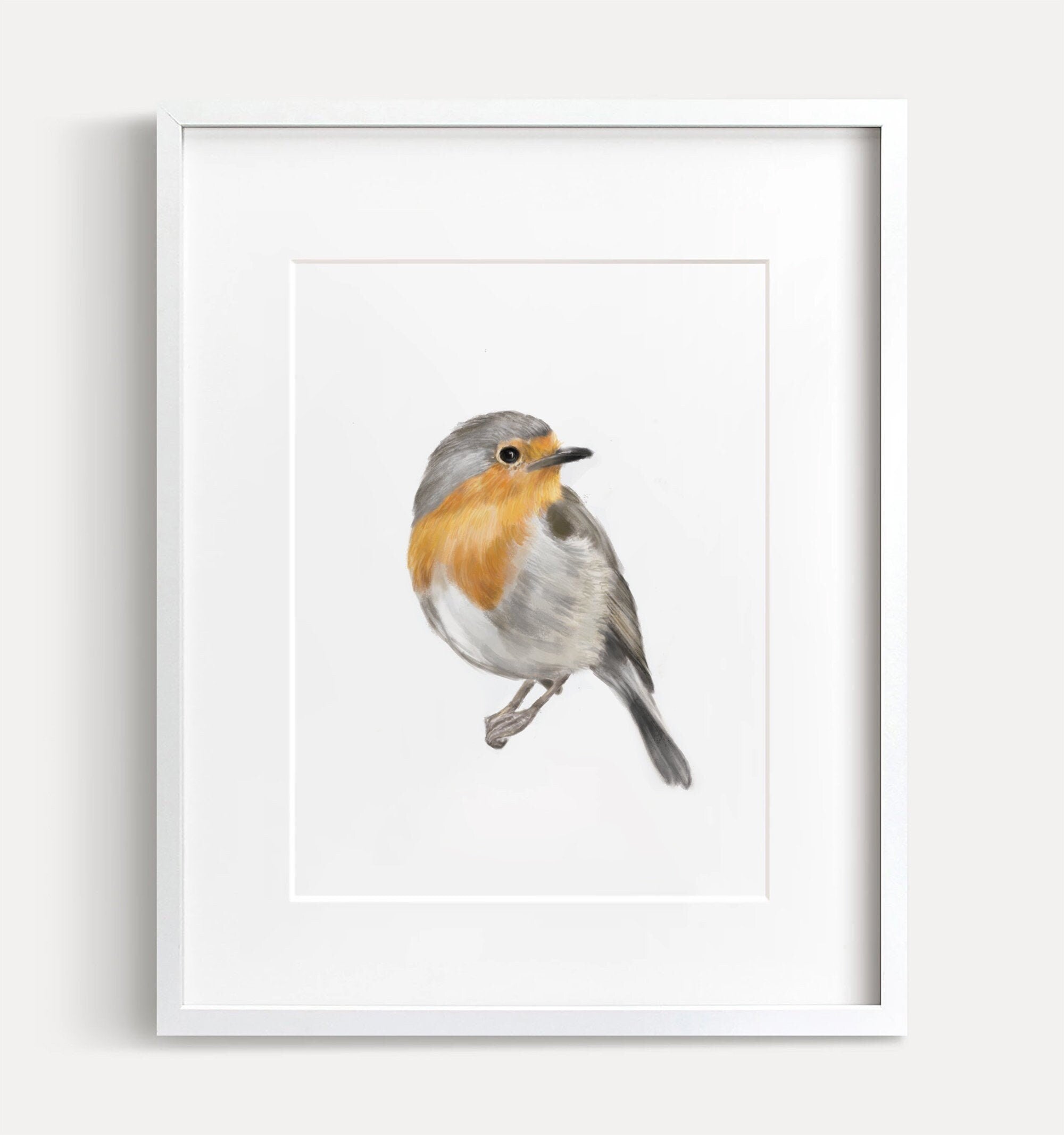 Robin Bird Art Print