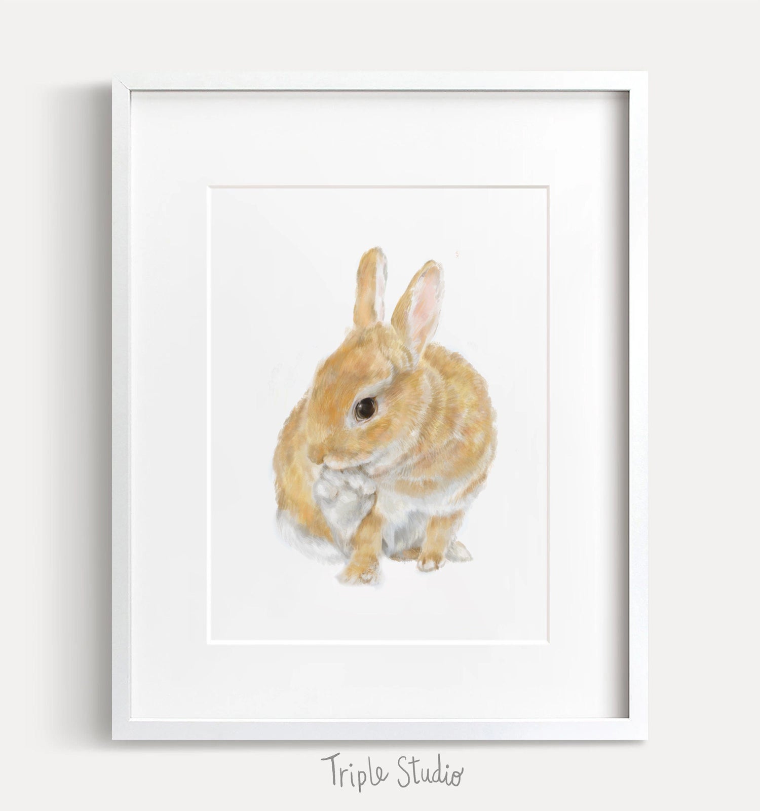 Rabbit Art Print