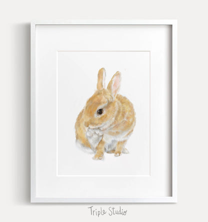 Rabbit Art Print