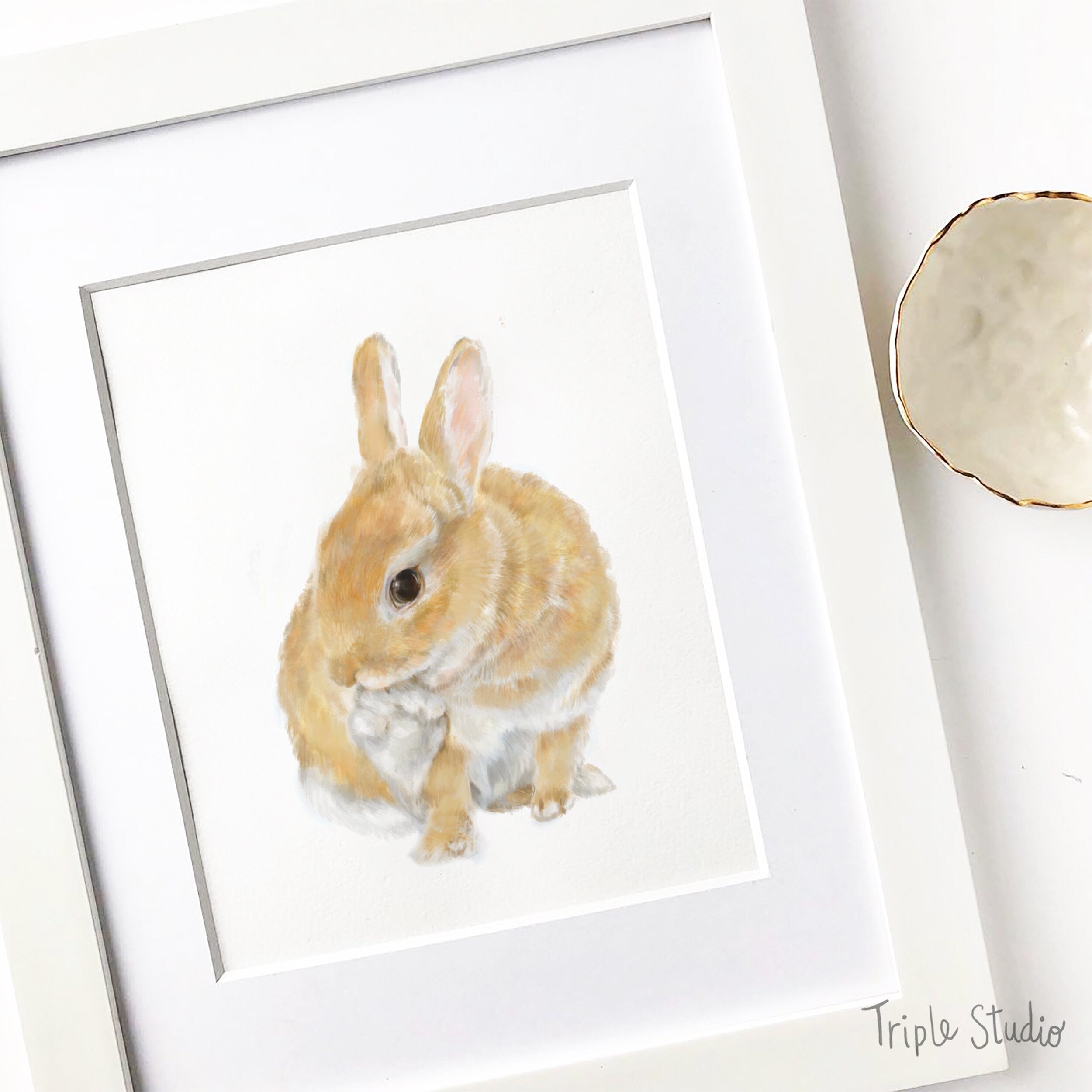 Rabbit Art Print