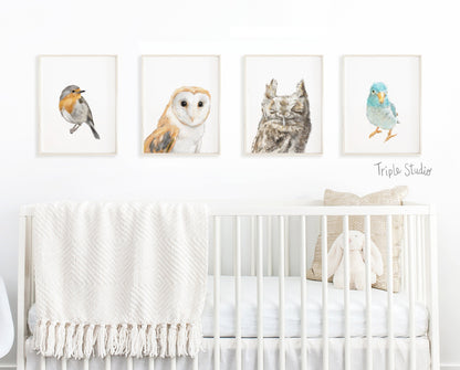 Burrowing Owl Art Print