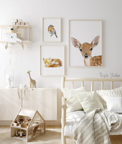 Robin Bird Art Print