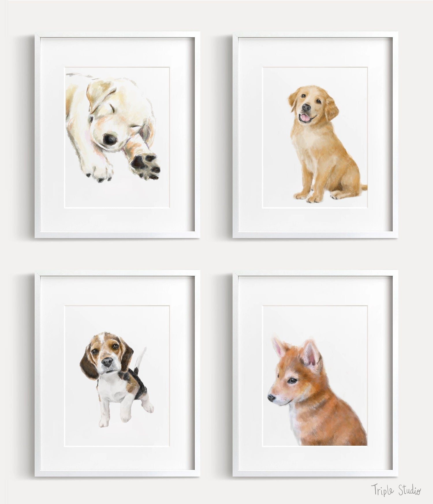 Beagle Puppy Art Print