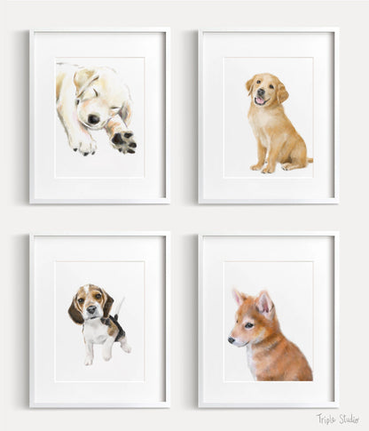 Beagle Puppy Art Print