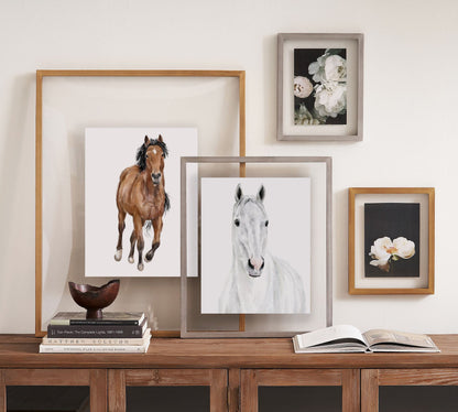 White Horse Wall Art Print