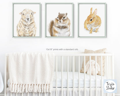 Farmhouse Sheep Art Print -