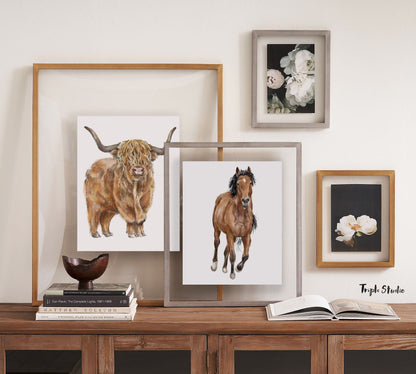 Highland Cow Wall Art