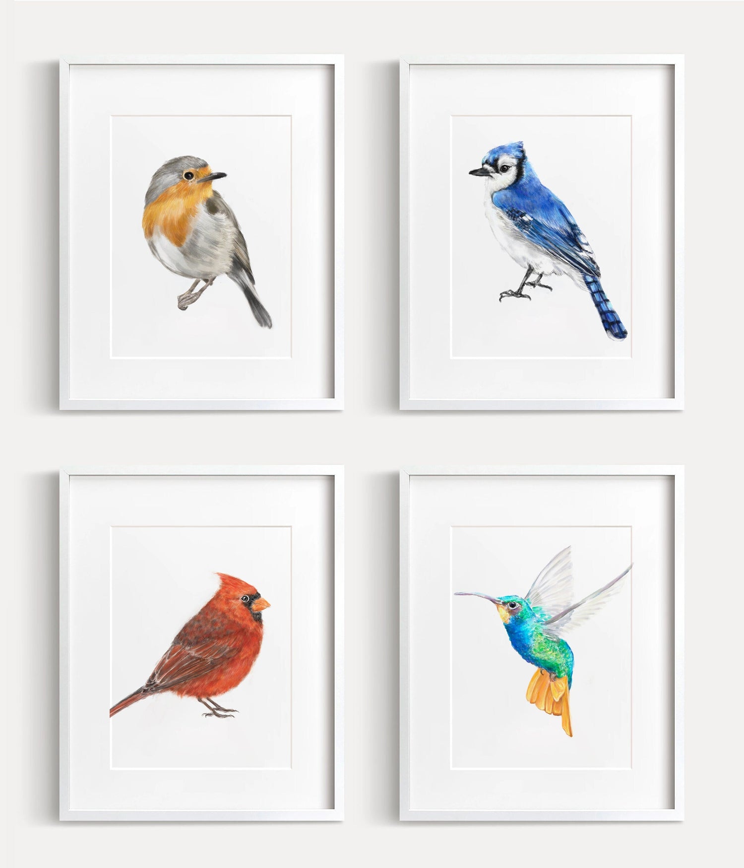 Robin Bird Art Print