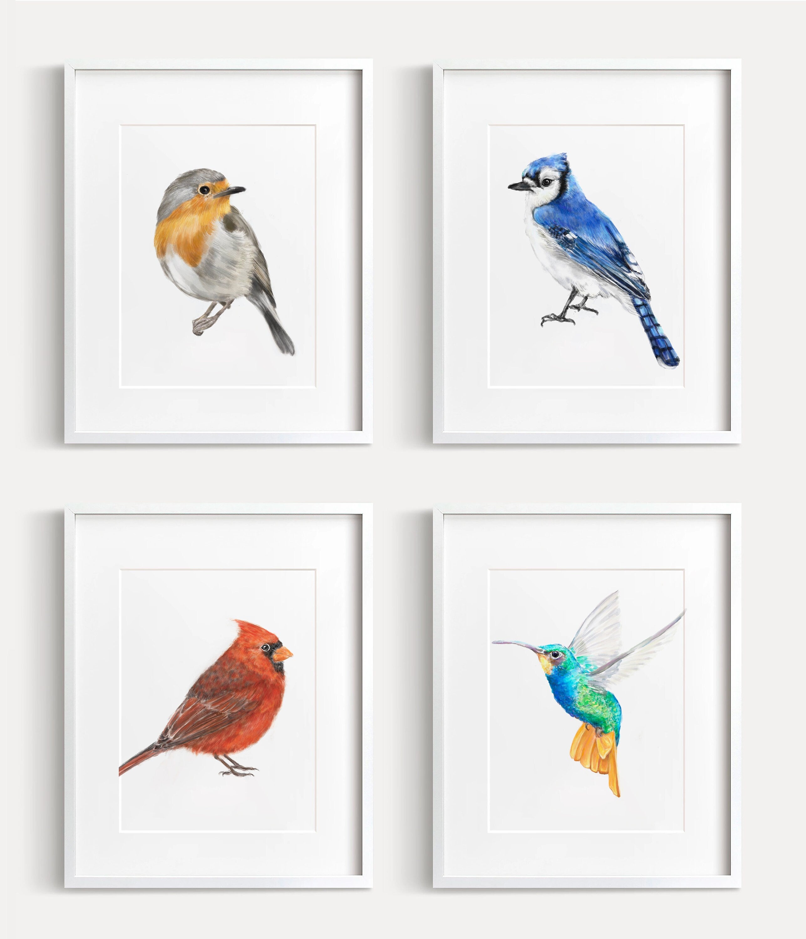 Robin Bird Art Print