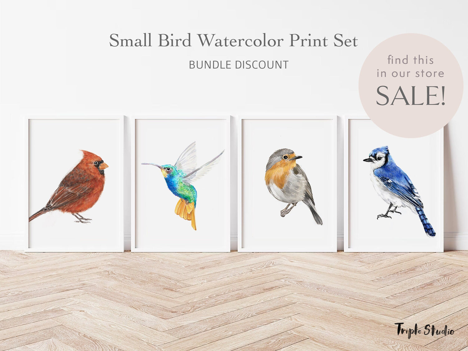 Blue Jay Bird Art Print