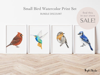 Blue Jay Bird Art Print