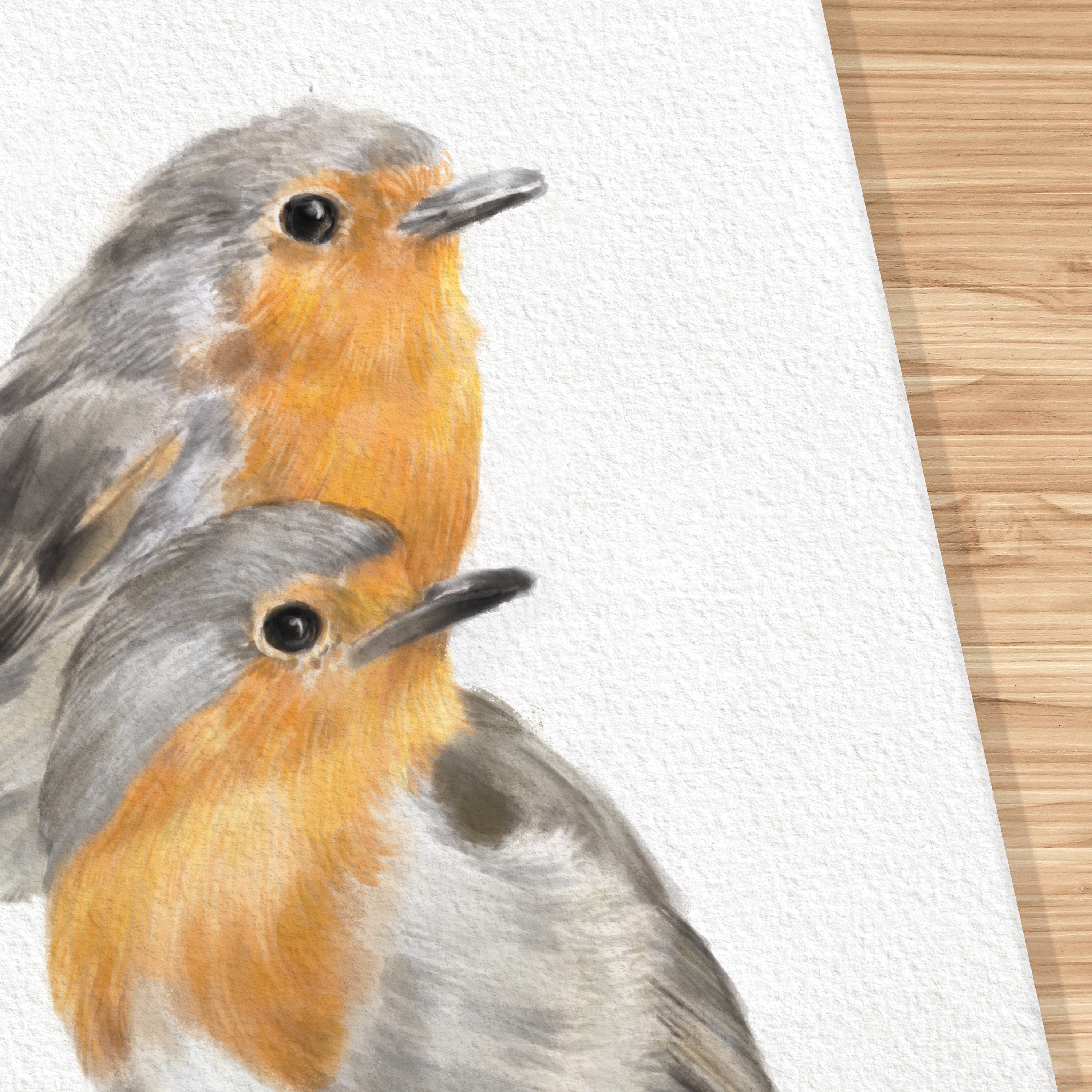 Robin Bird Friendship Print:  Scandinavian Wall Decor for Couples