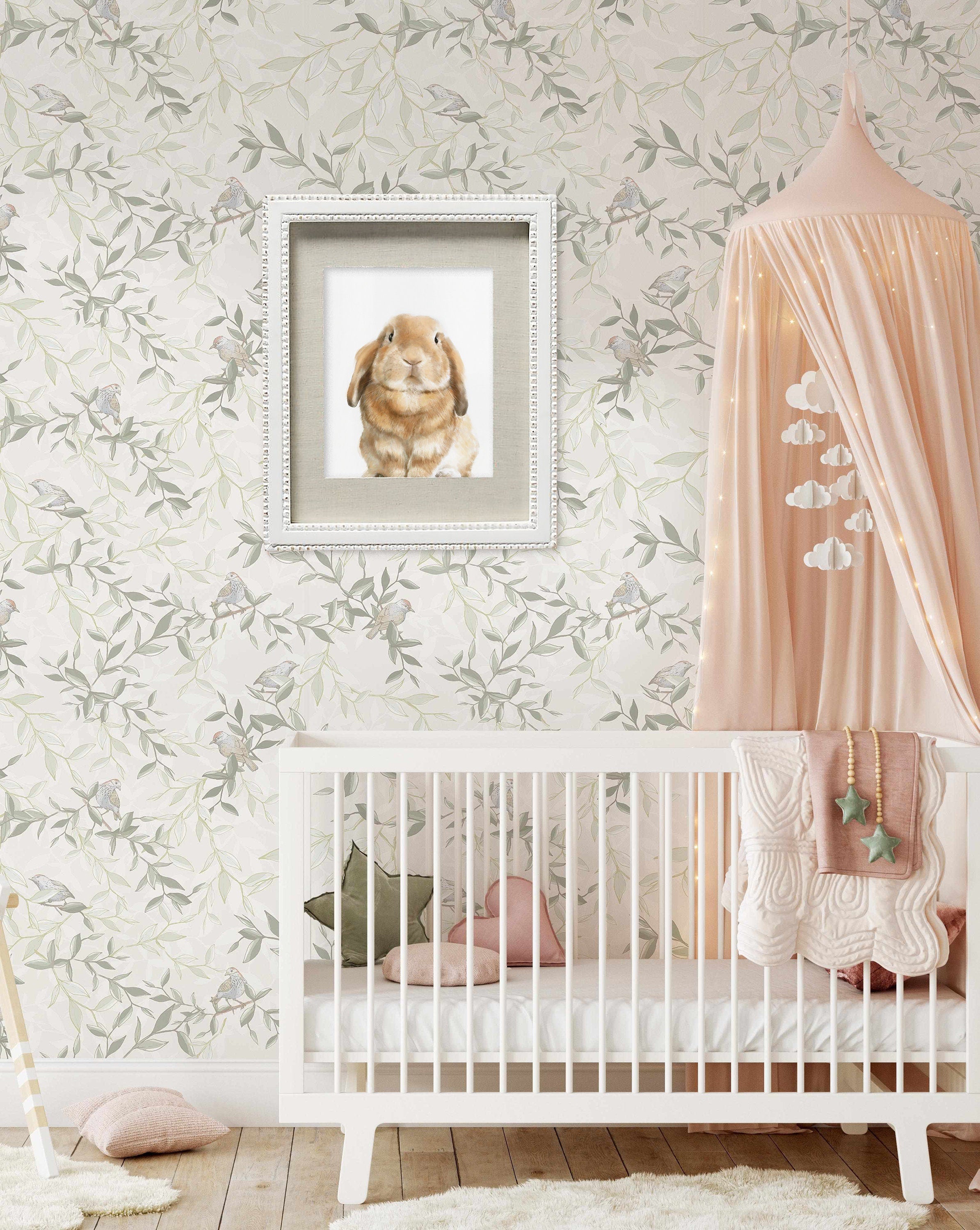 Lop Rabbit Art Print