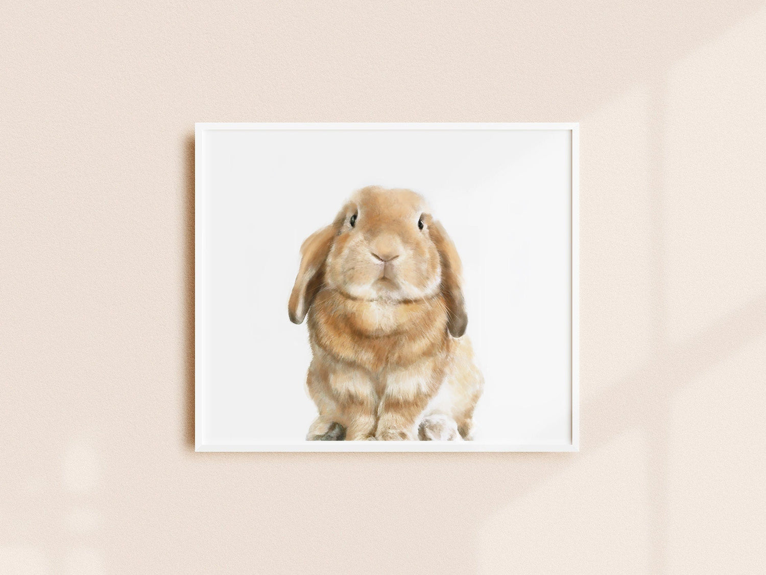 Lop Rabbit Art Print